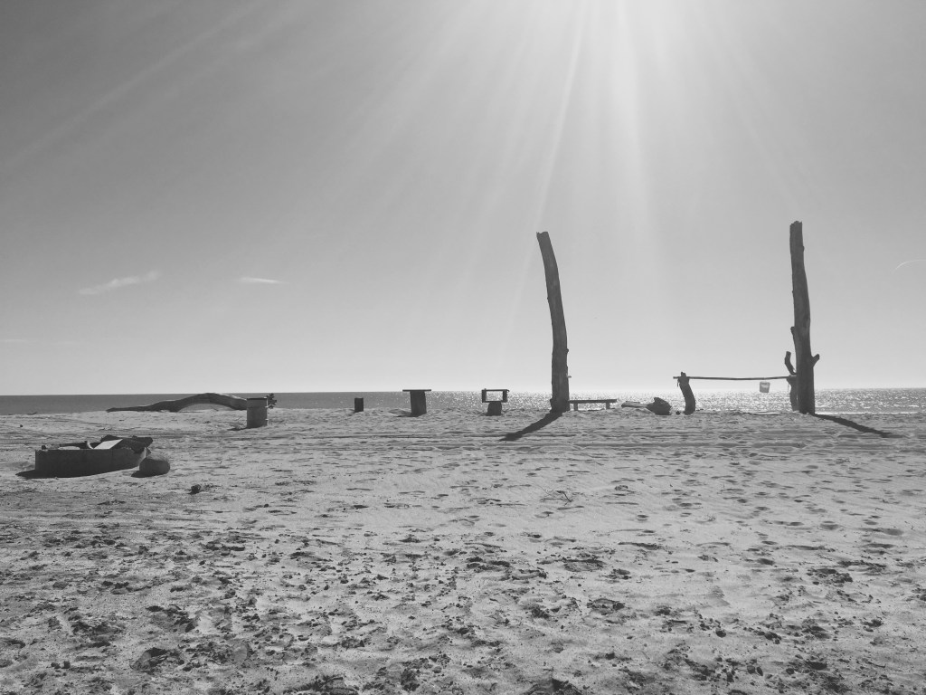 Trestles during low tide