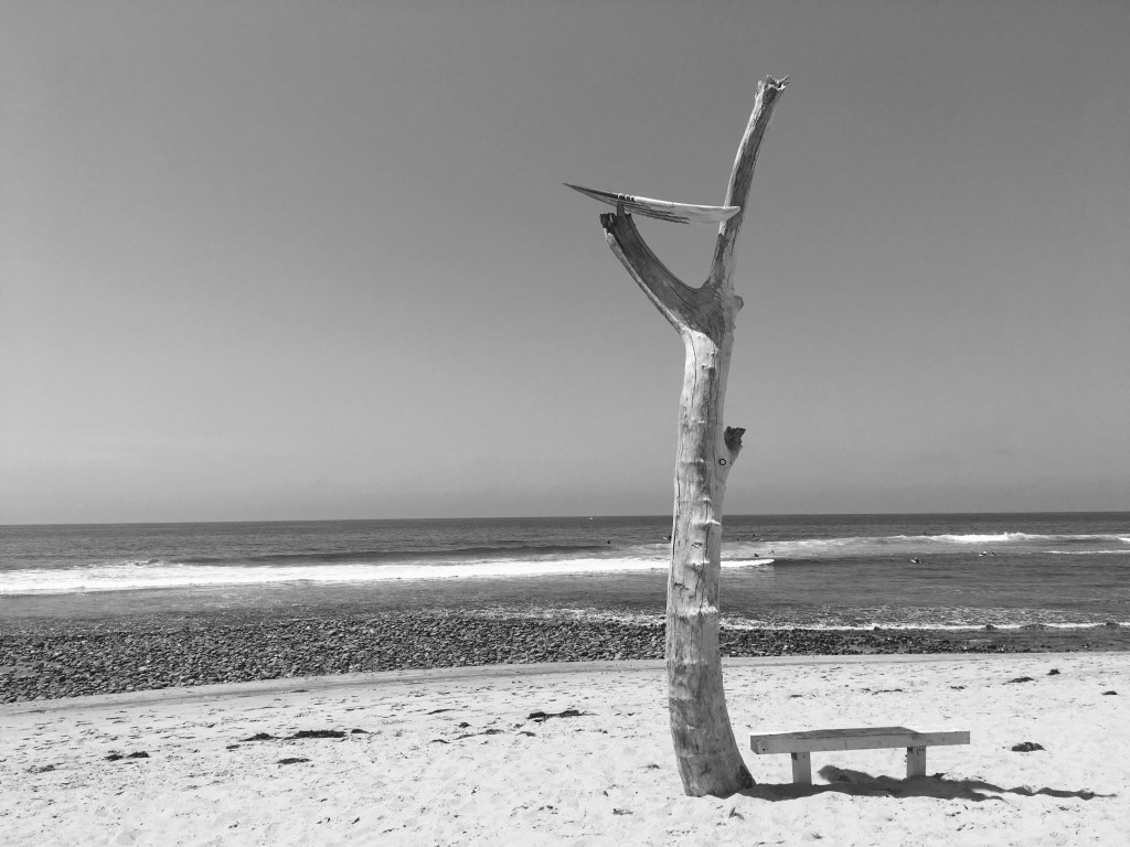 Trestles and sea-level rise during 2016 El Niño
