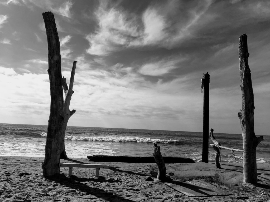Trestles during low tide