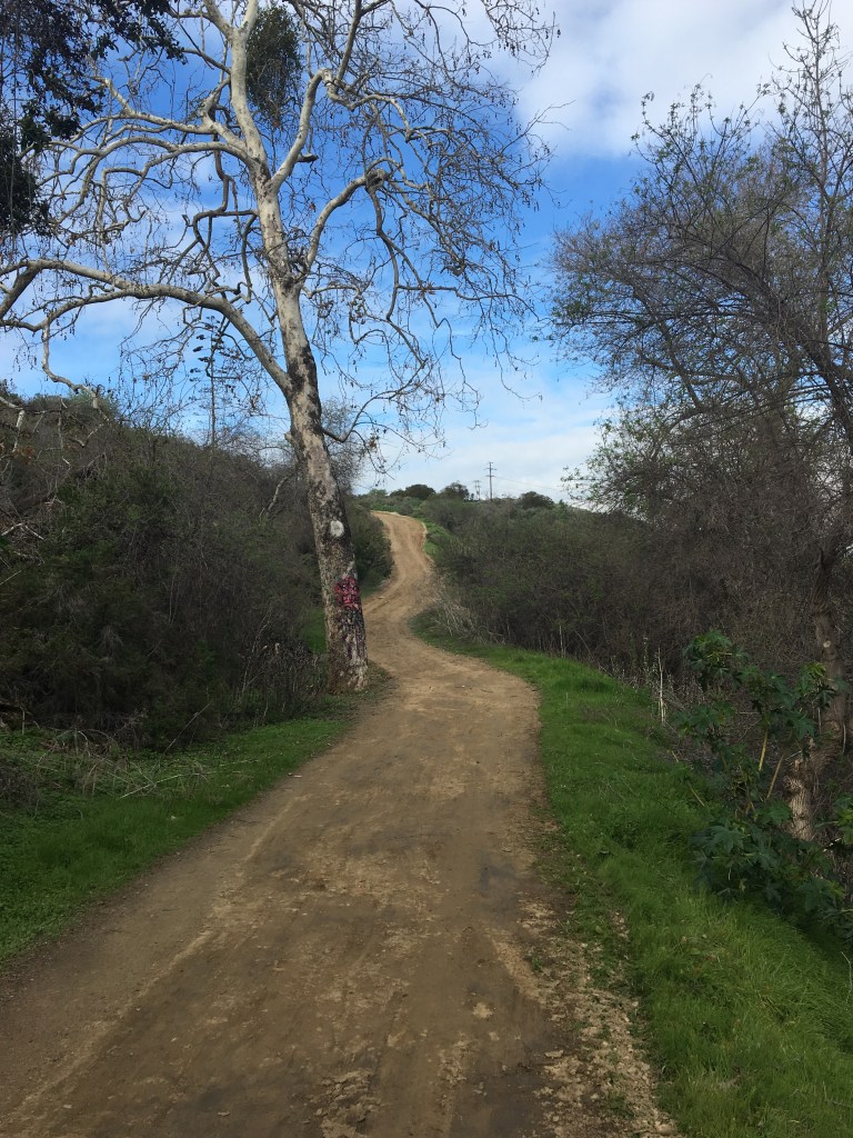 Panhe Trail in San Onofre State Beach