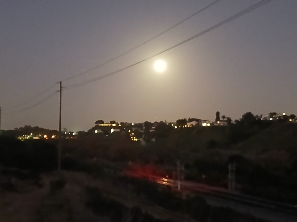 2025 Wolf Moon at Rose Canyon 