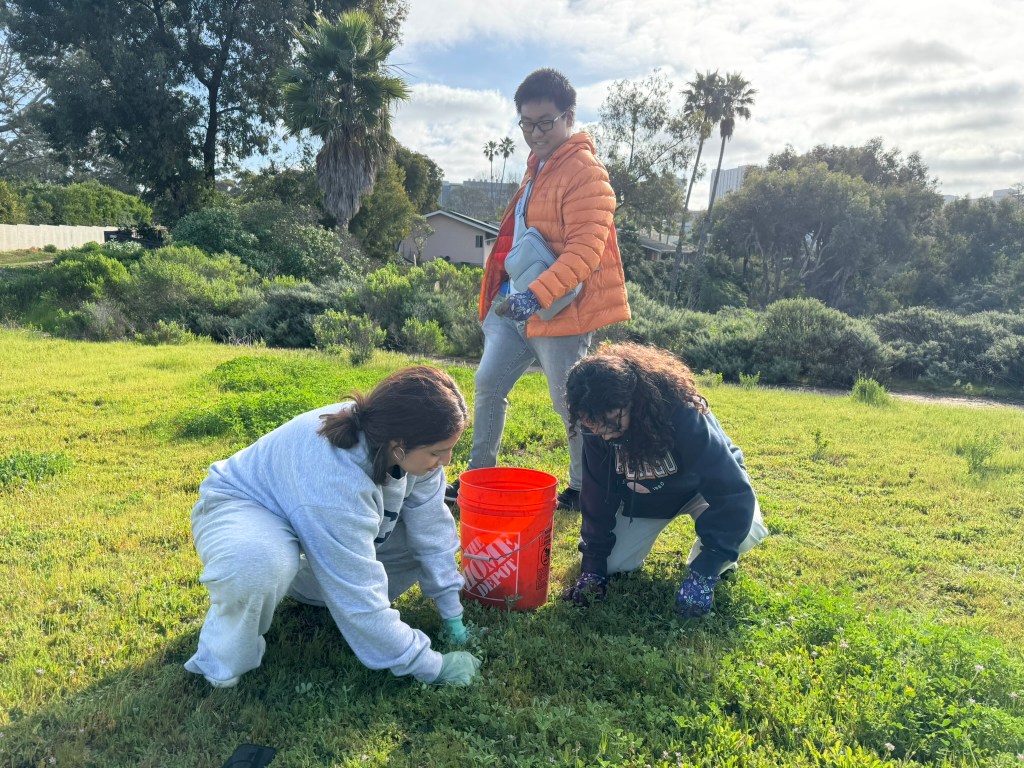 SYN 100 students engage in habitat restoration efforts at Scripps Coastal Reserve at UC San Diego